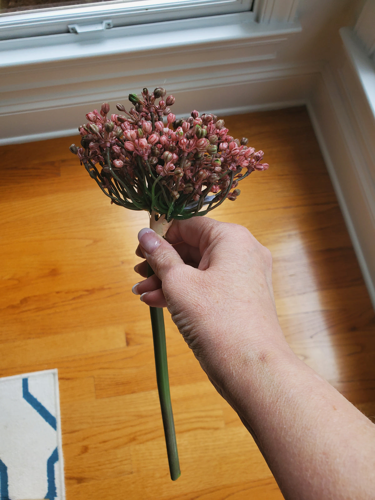 12&quot; Allium stem/Buds--#fsa662