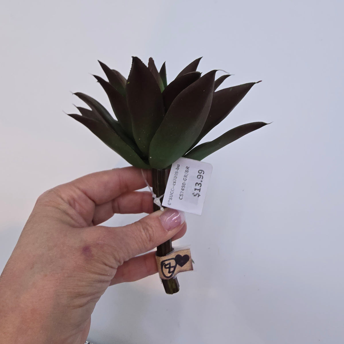 6&quot;SUCC--cs7450-gr/br