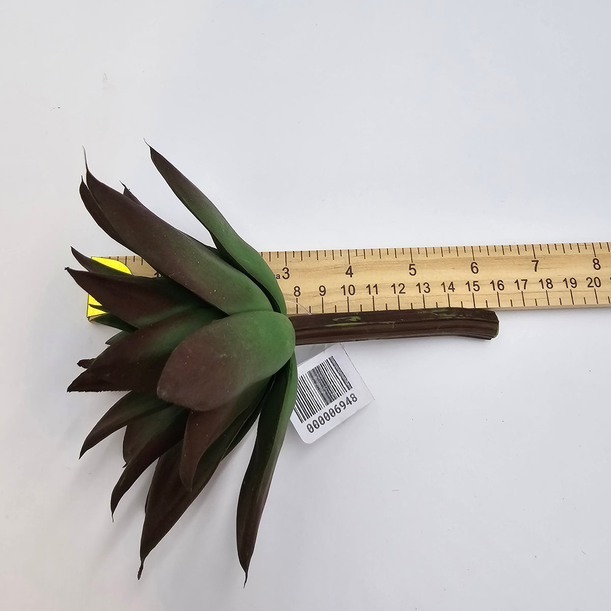 6&quot;SUCC--cs7450-gr/br