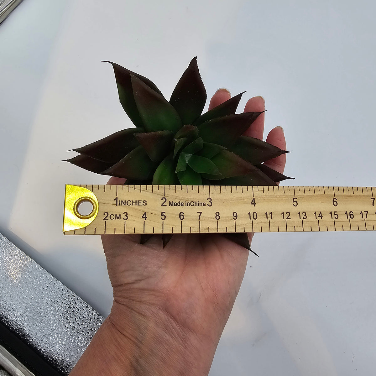 6&quot;SUCC--cs7450-gr/br