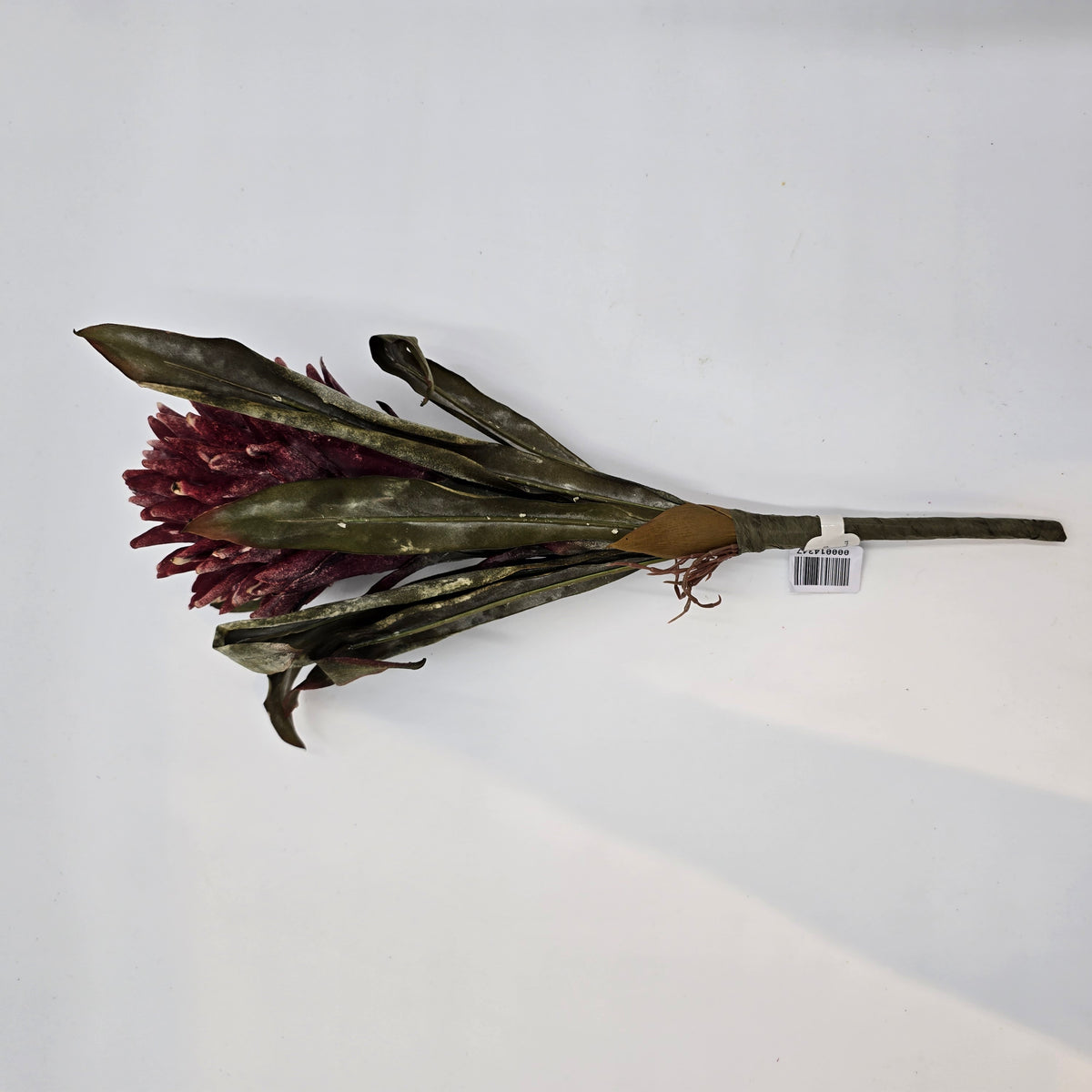 17&quot; Hot Poker--#fsp107