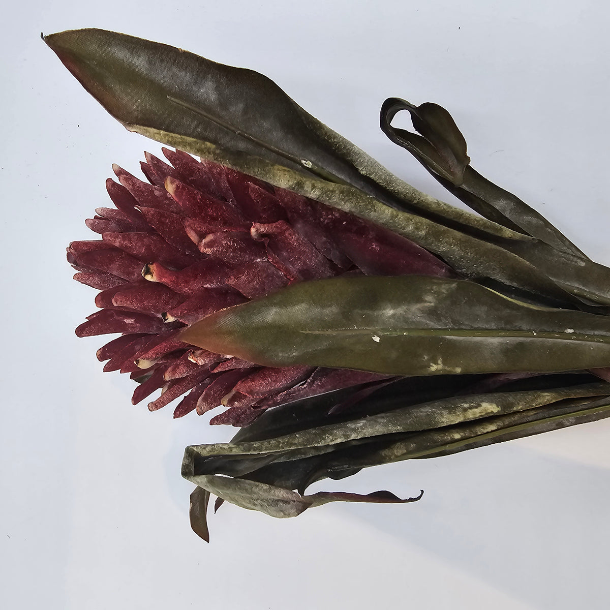 17&quot; Hot Poker--#fsp107