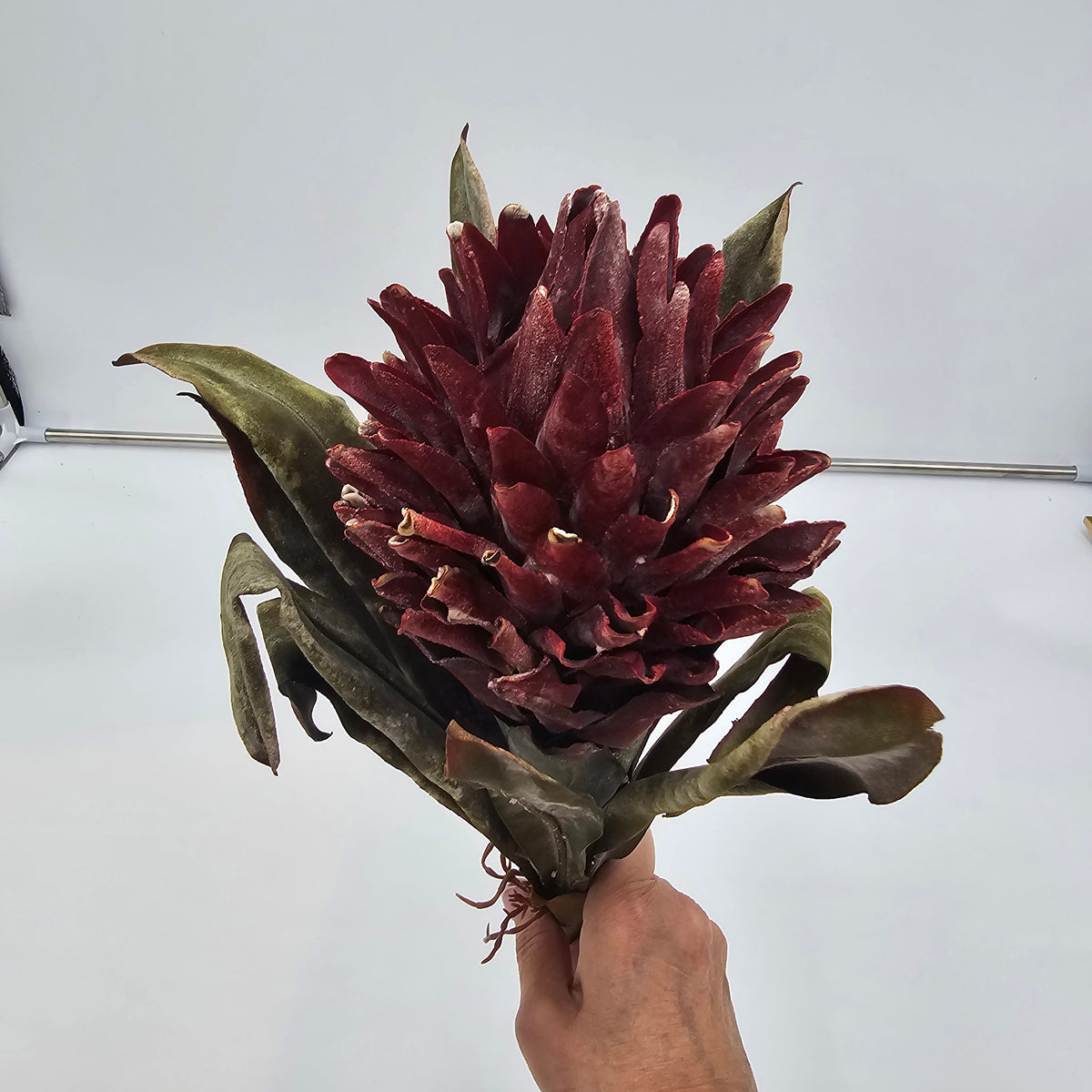 17&quot; Hot Poker--#fsp107