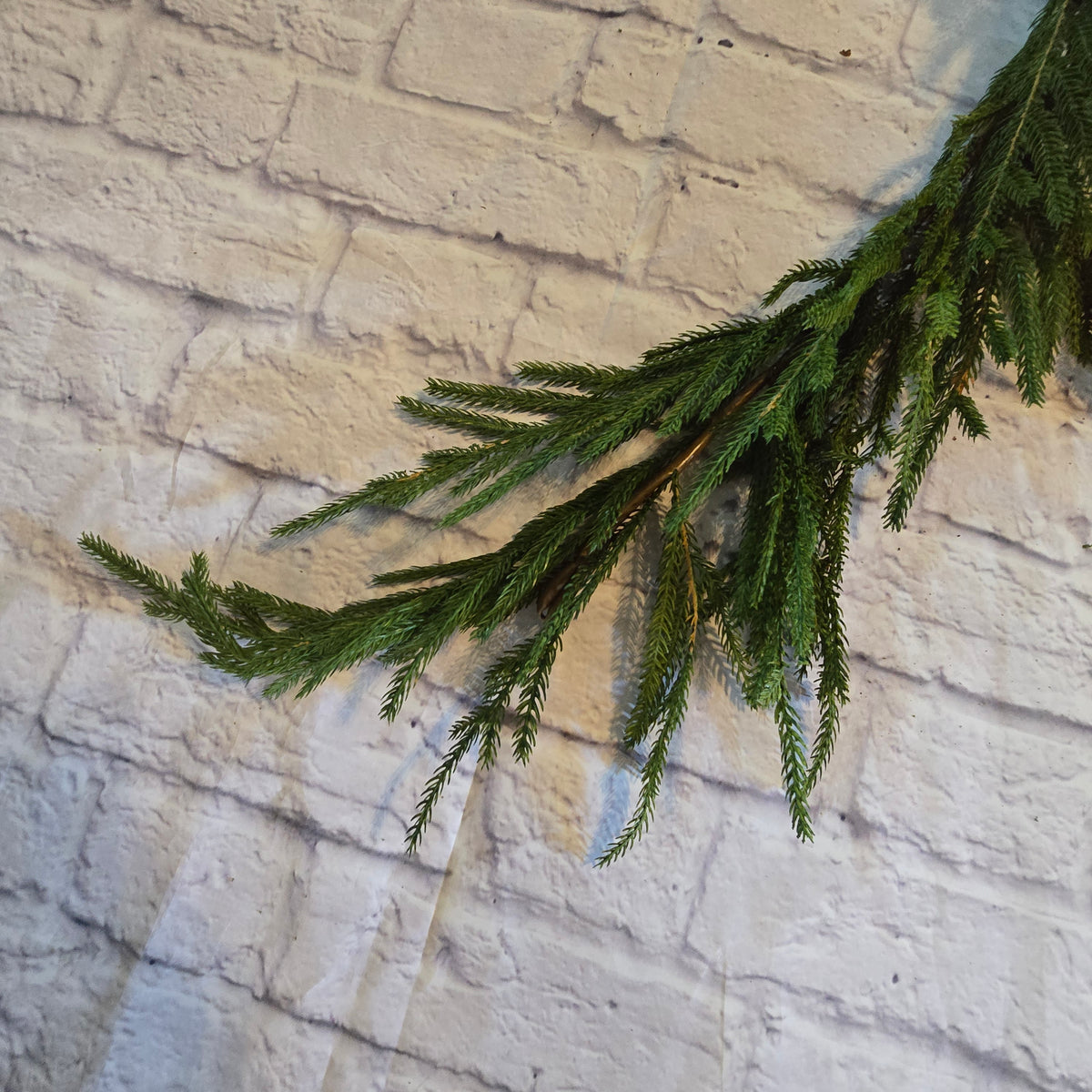 6ft Soft PE Cypress/Norfolk Pine Garland #ygc093