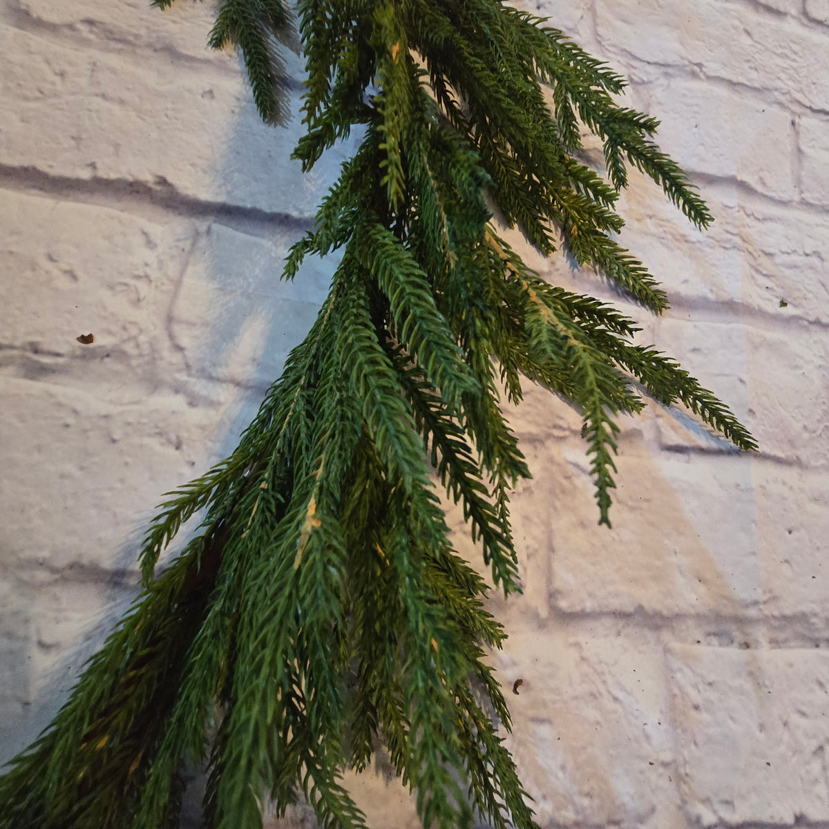 6ft Soft PE Cypress/Norfolk Pine Garland #ygc093