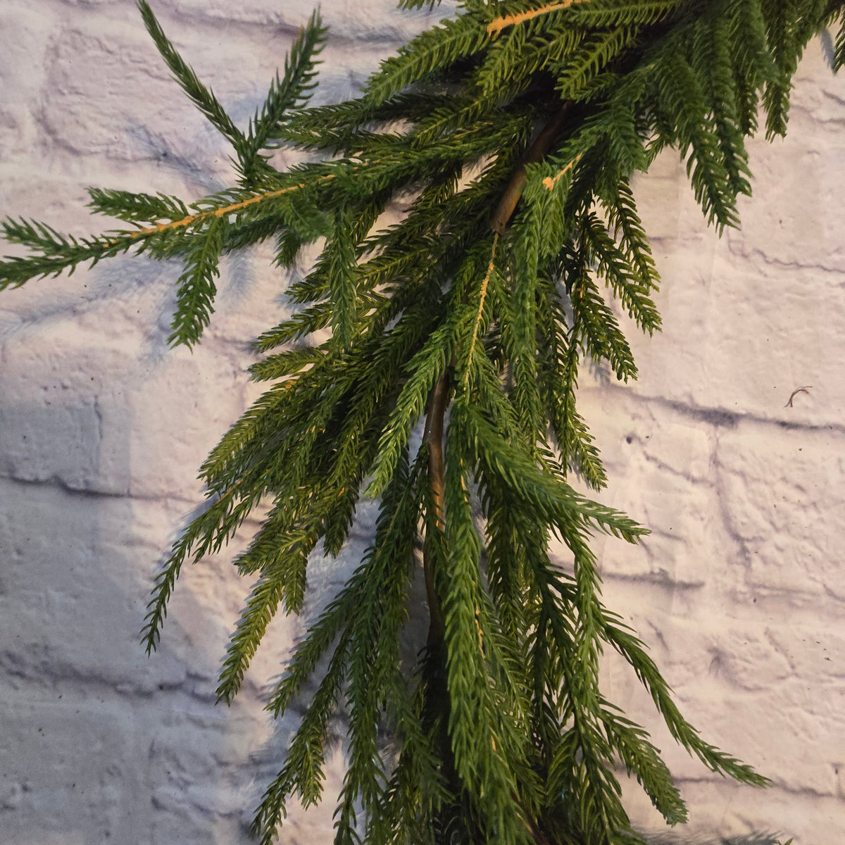 6ft Soft PE Cypress/Norfolk Pine Garland #ygc093