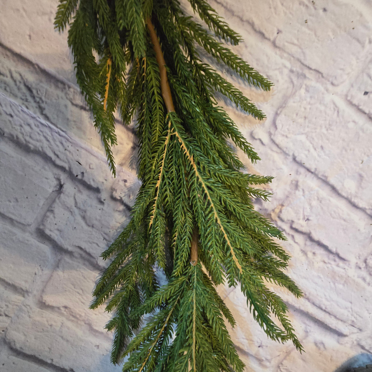 6ft Soft PE Cypress/Norfolk Pine Garland #ygc093