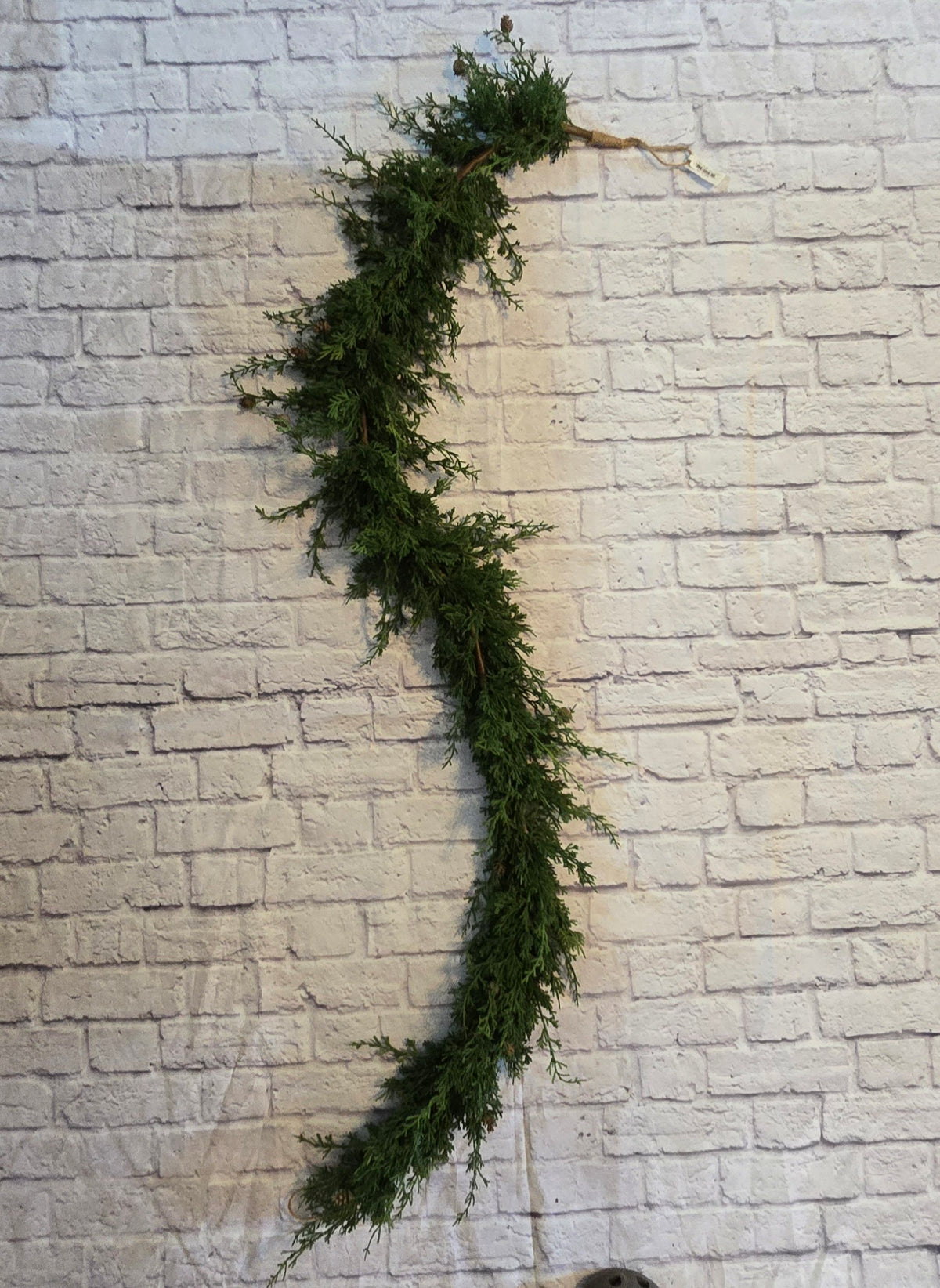 6ft Cedar/Pine Grld-#ygc666