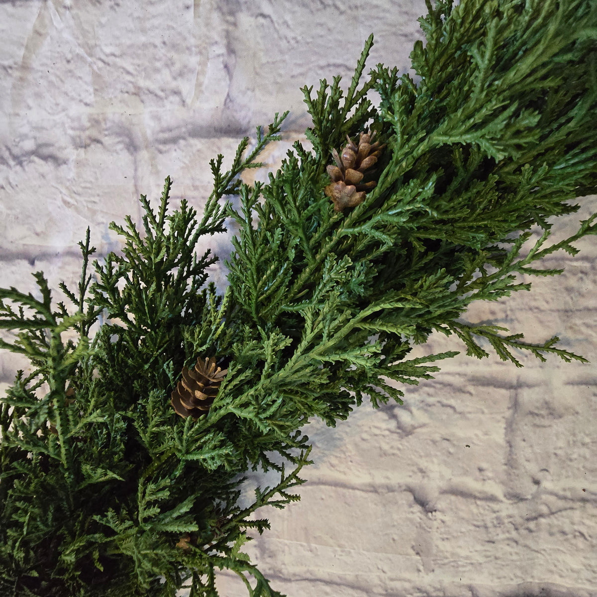 6ft Cedar/Pine Grld-#ygc666