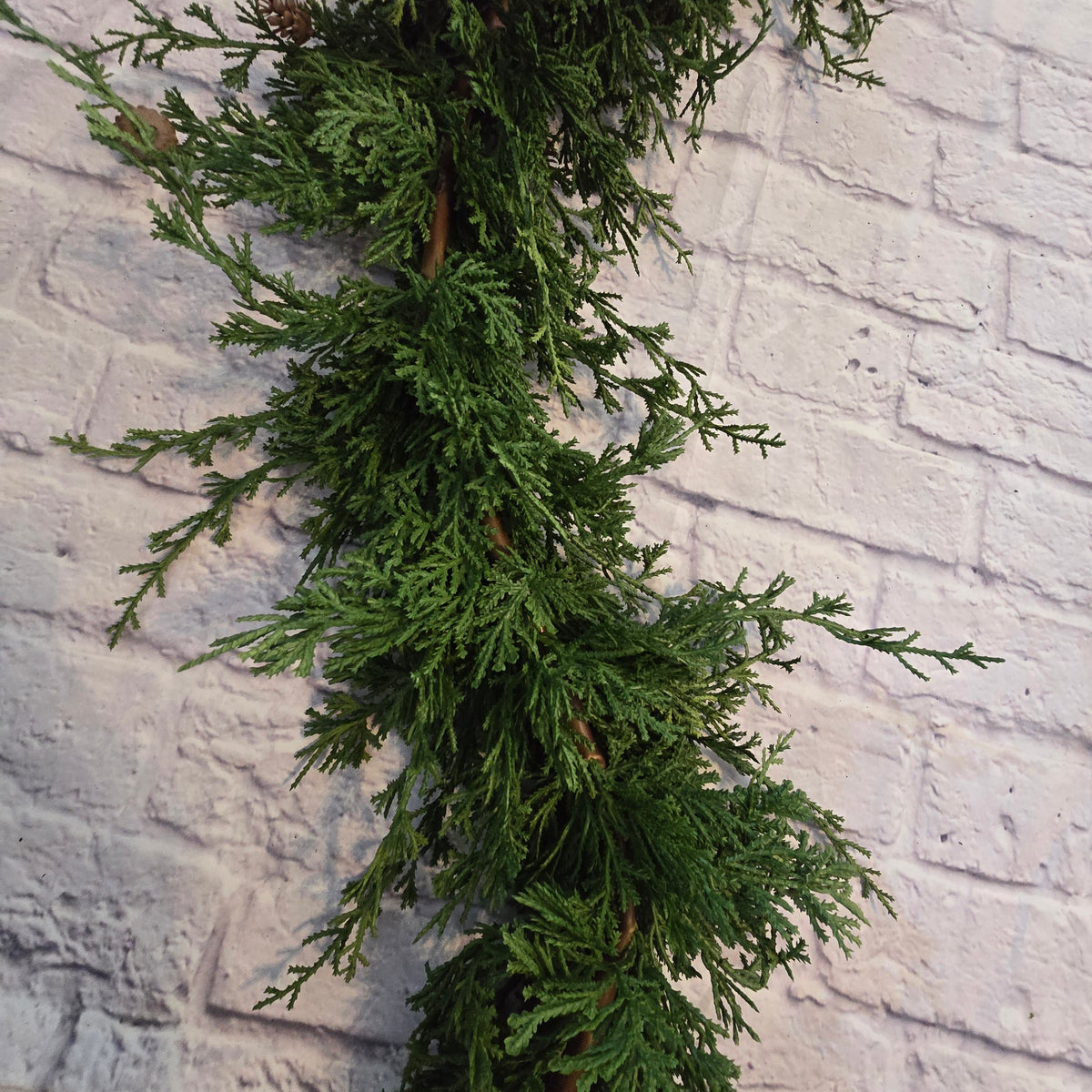 6ft Cedar/Pine Grld-#ygc666