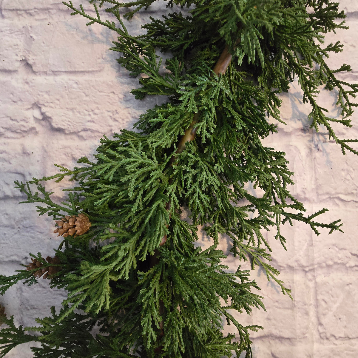 6ft Cedar/Pine Grld-#ygc666