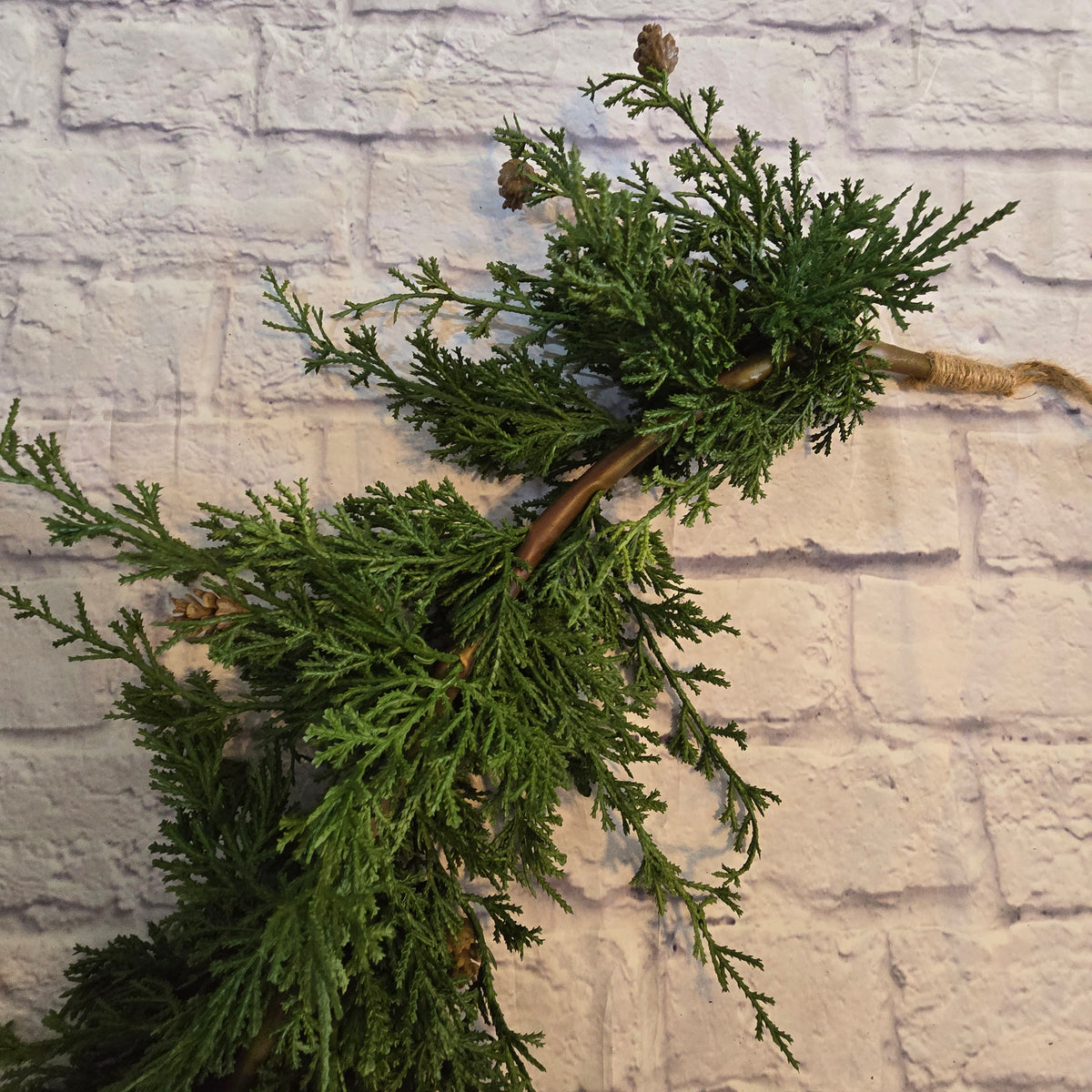 6ft Cedar/Pine Grld-#ygc666