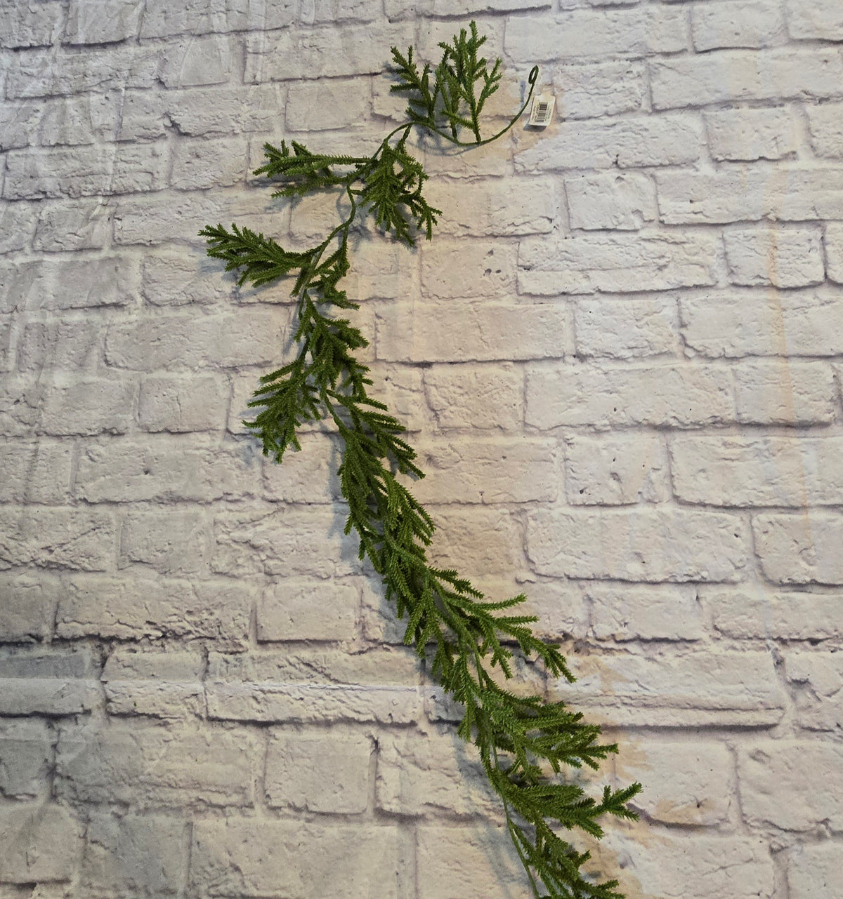 72&quot; Fir Garland-#ygf402