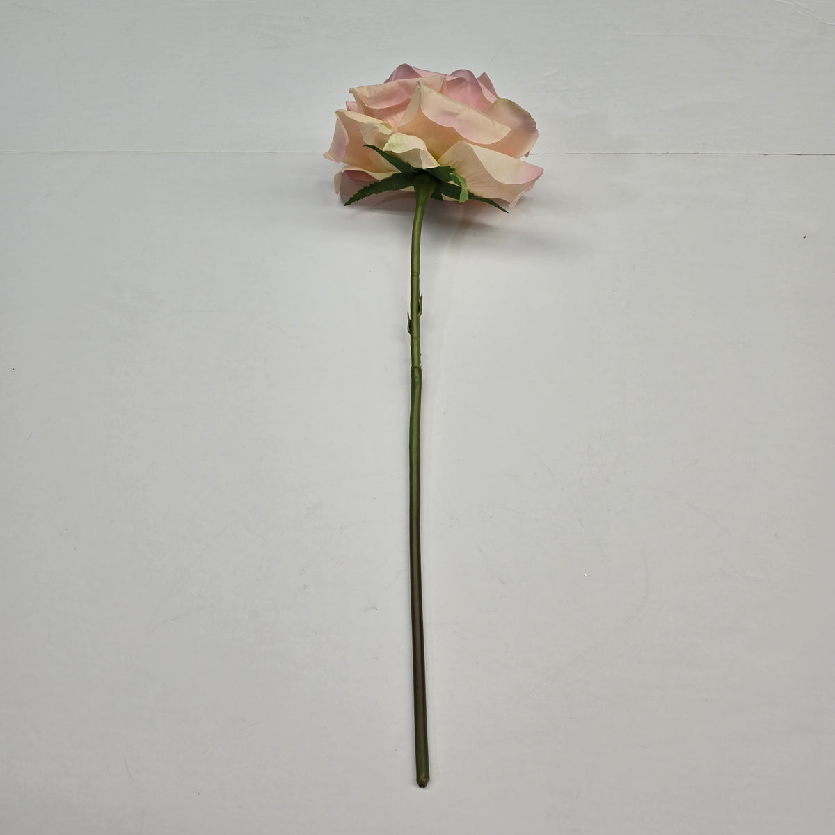 19"ROSE--fsr003