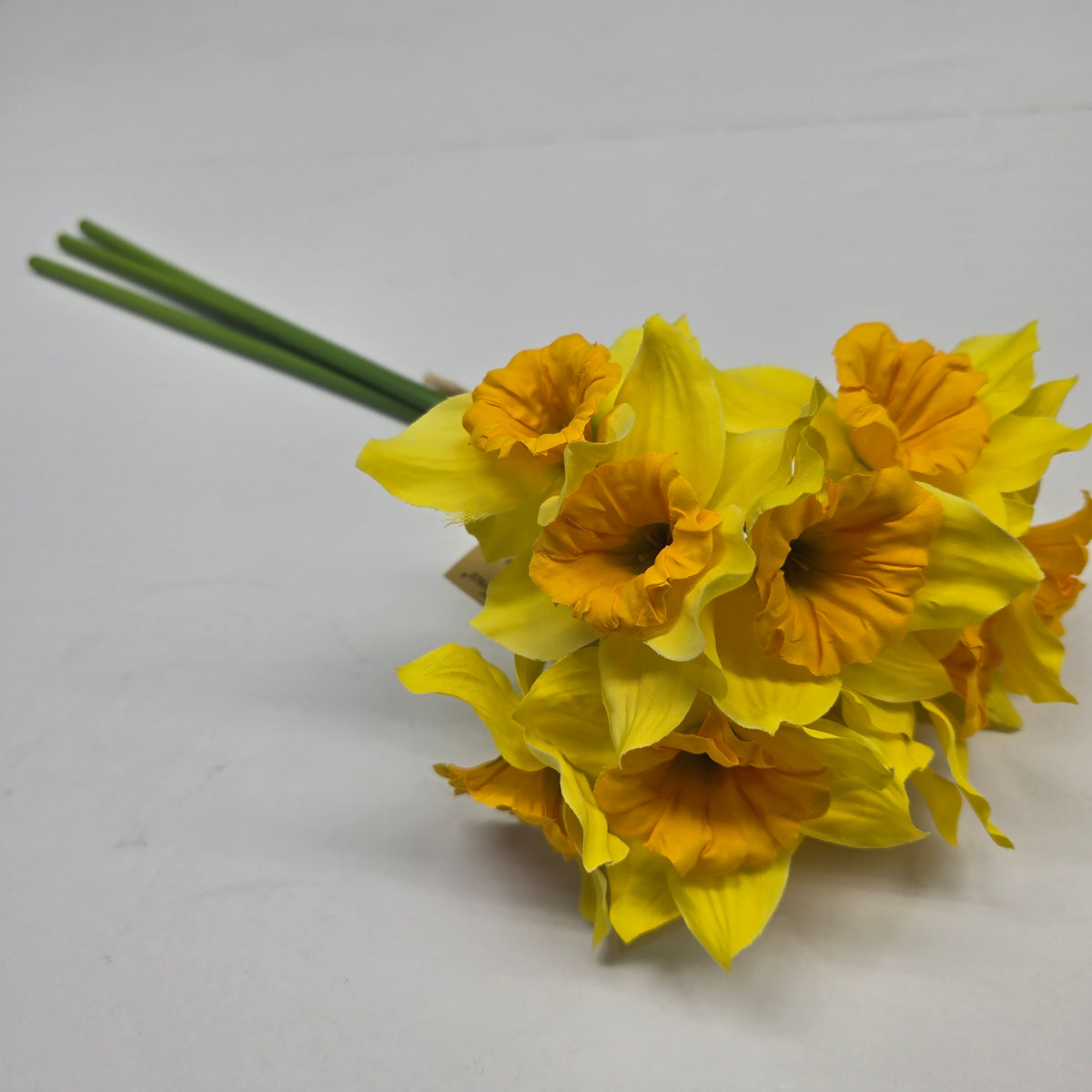 Daffodil Bundle #219929