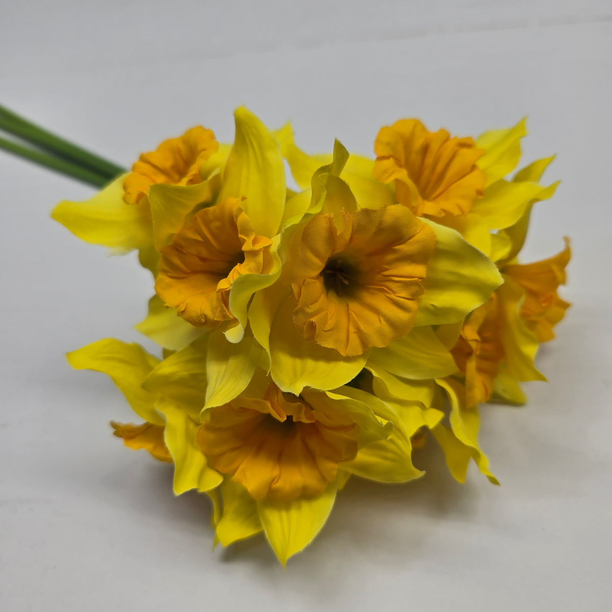 Daffodil Bundle #219929