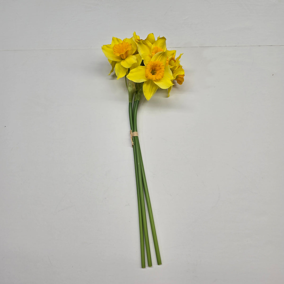 Daffodil Bundle #219929
