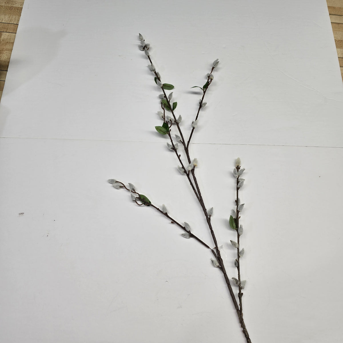 38.5" Pussywillow x5--#182378