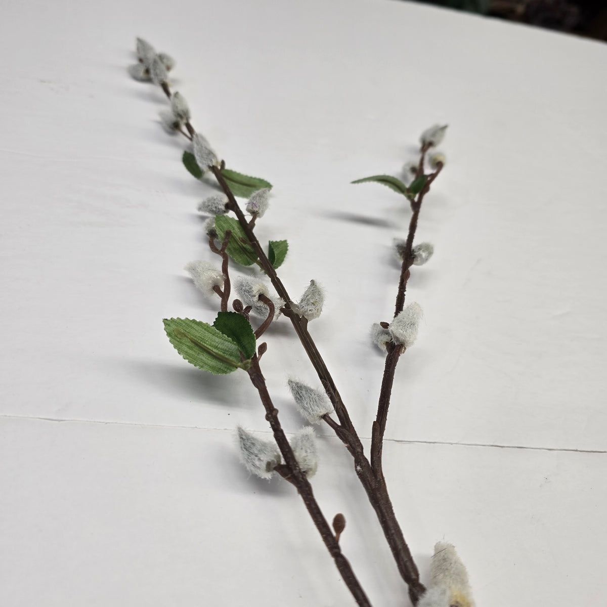 38.5" Pussywillow x5--#182378