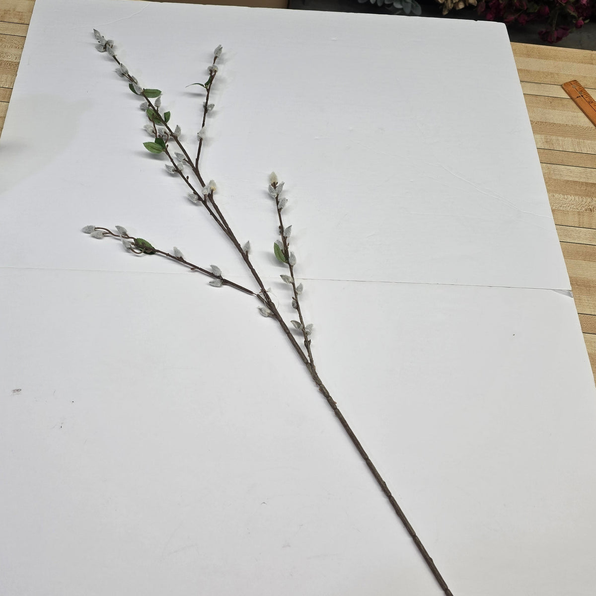 38.5" Pussywillow x5--#182378