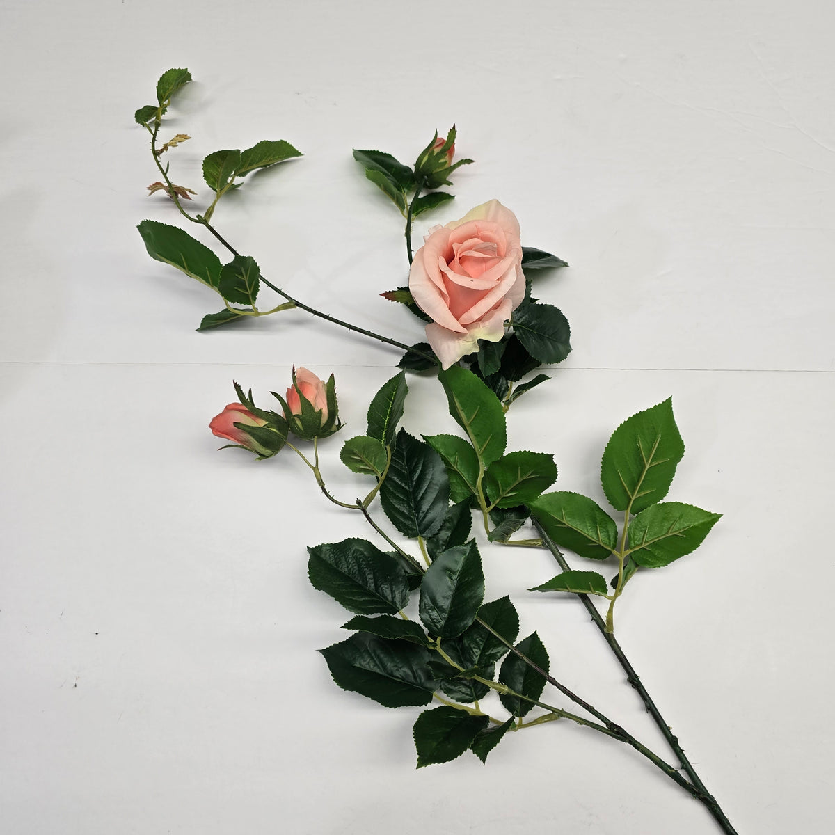 19"ROSE--fsr003