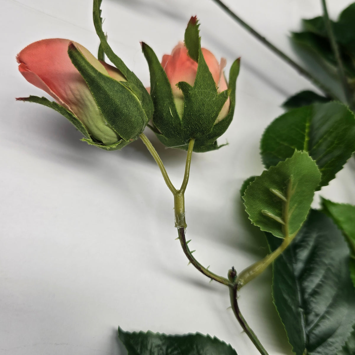 19"ROSE--fsr003