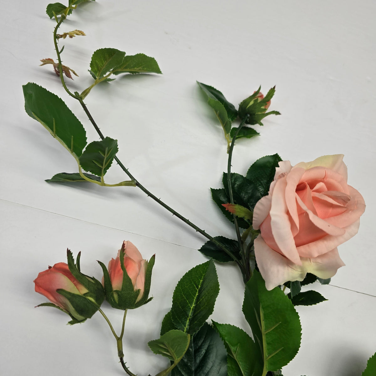 19"ROSE--fsr003