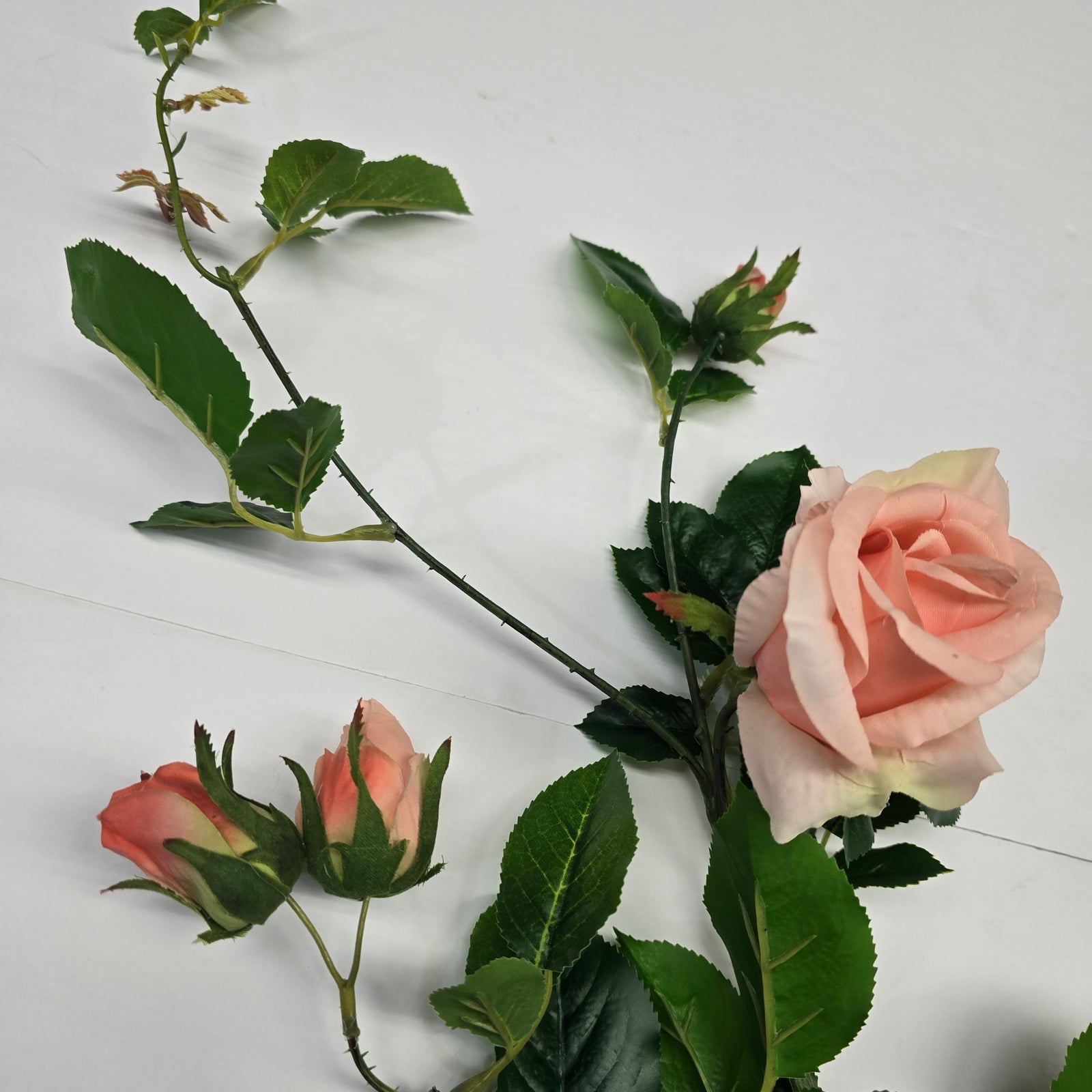 40.5" RT Rose--fsr632