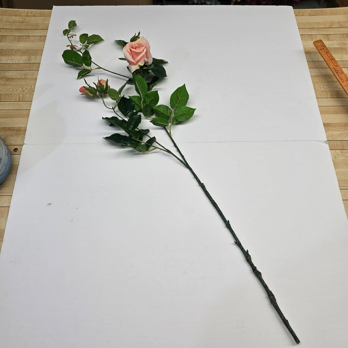 19"ROSE--fsr003
