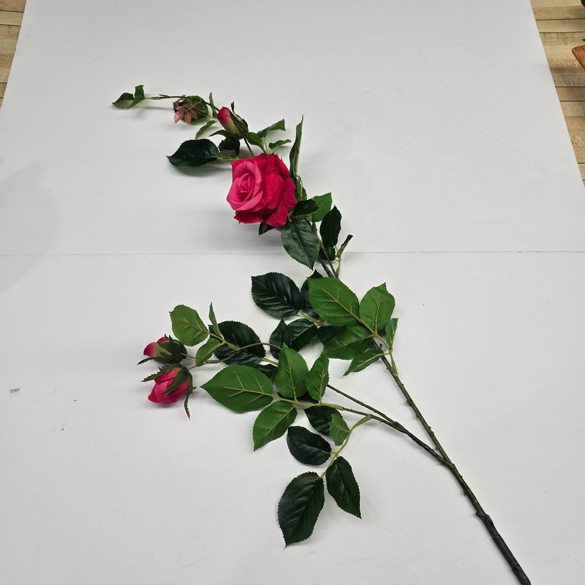 19"ROSE--fsr003