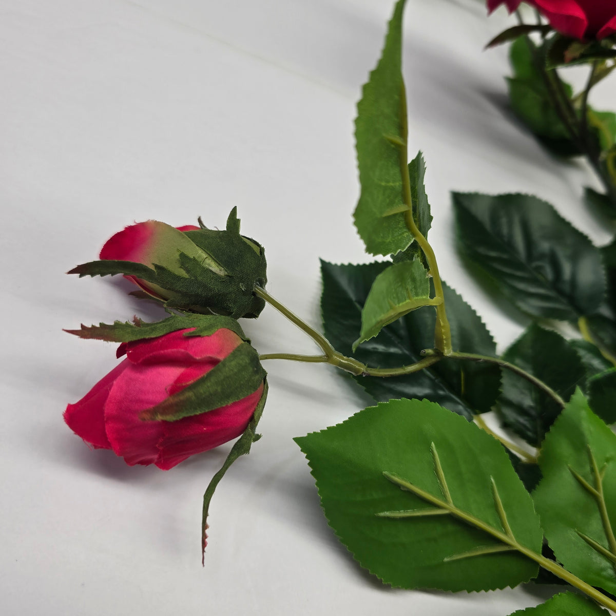 19"ROSE--fsr003