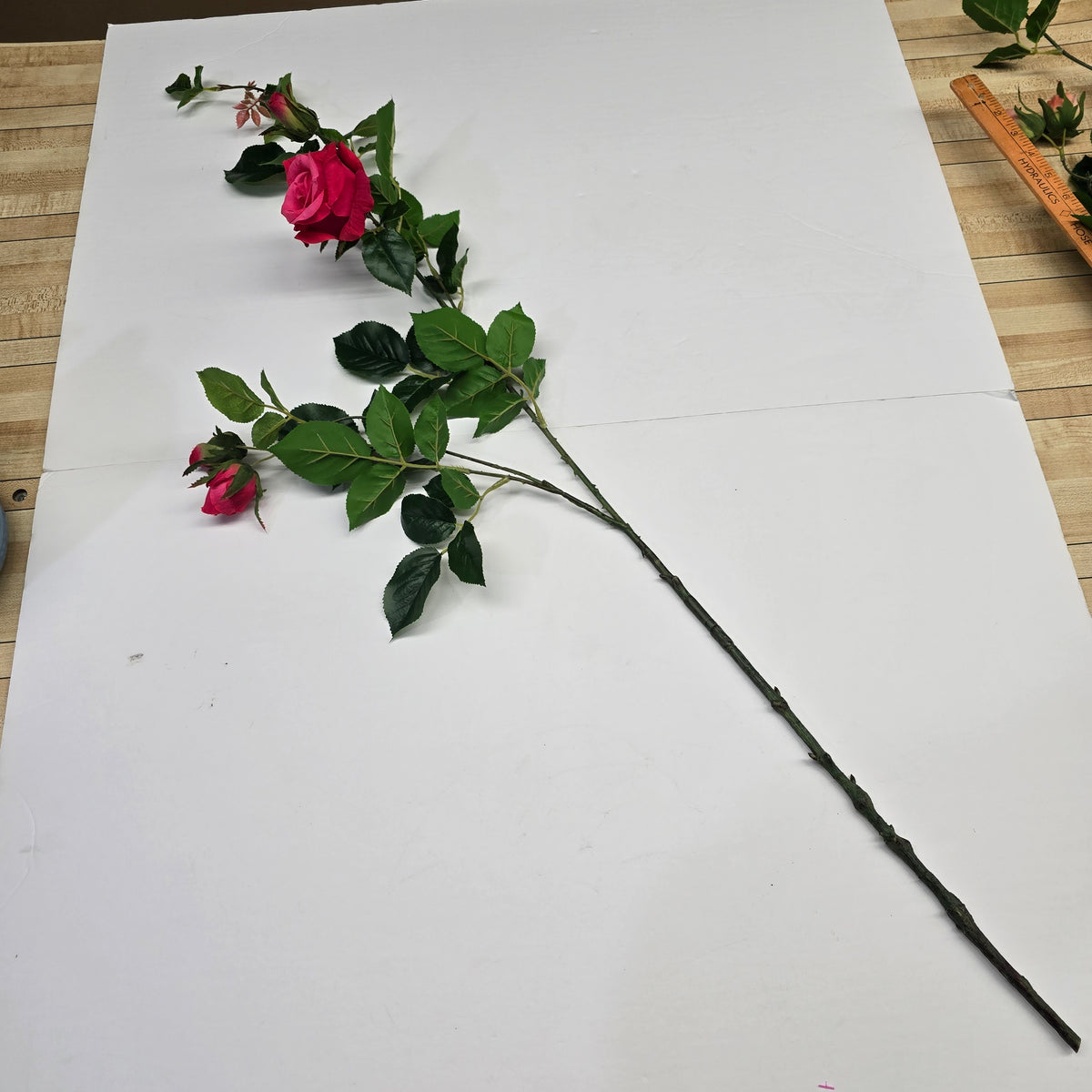 19"ROSE--fsr003