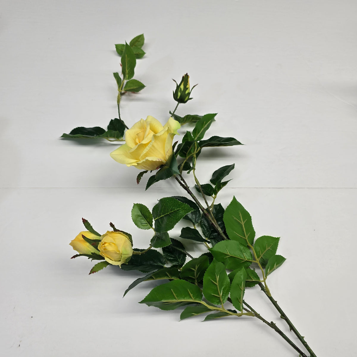19"ROSE--fsr003