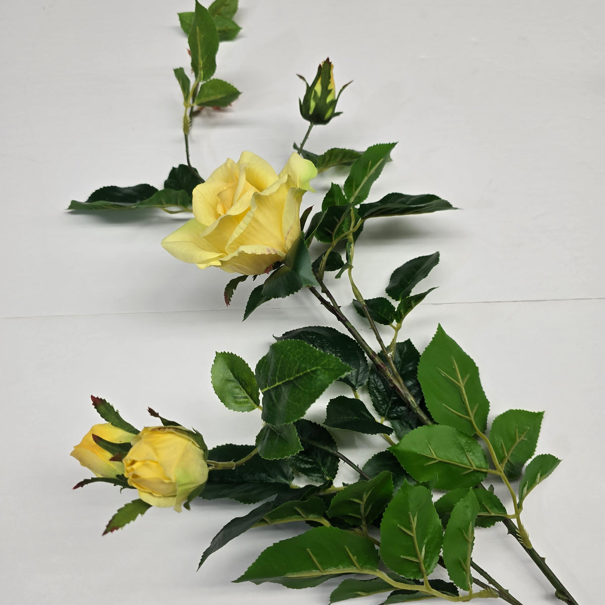 19"ROSE--fsr003