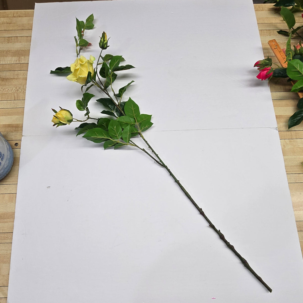 19"ROSE--fsr003