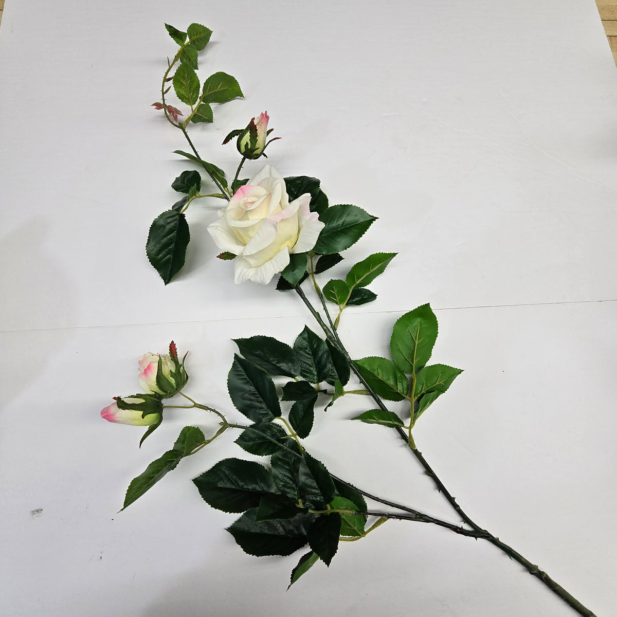 19"ROSE--fsr003