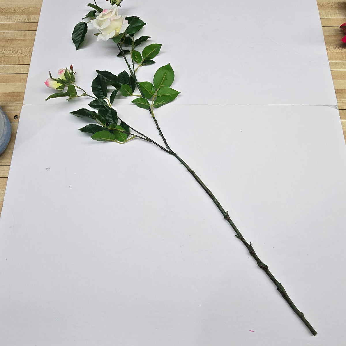 19"ROSE--fsr003