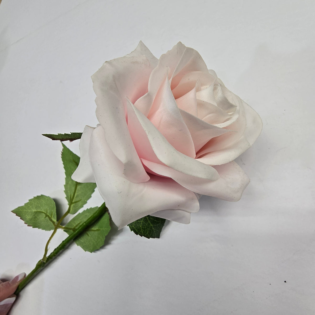 21.5" RT Rose--fsr151