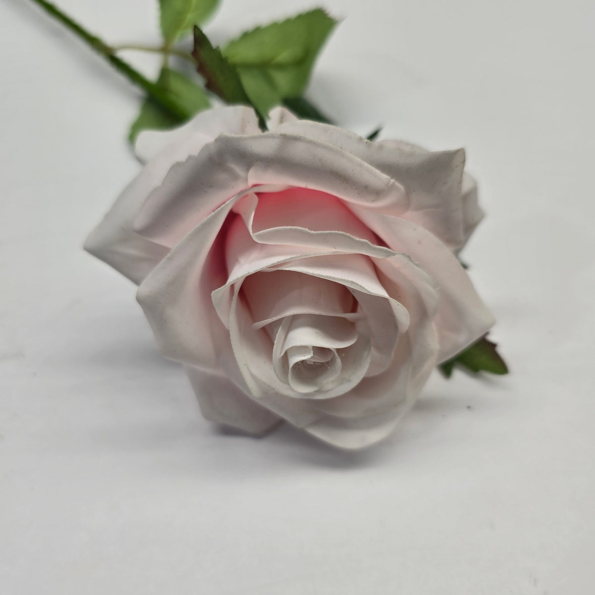 21.5" RT Rose--fsr151