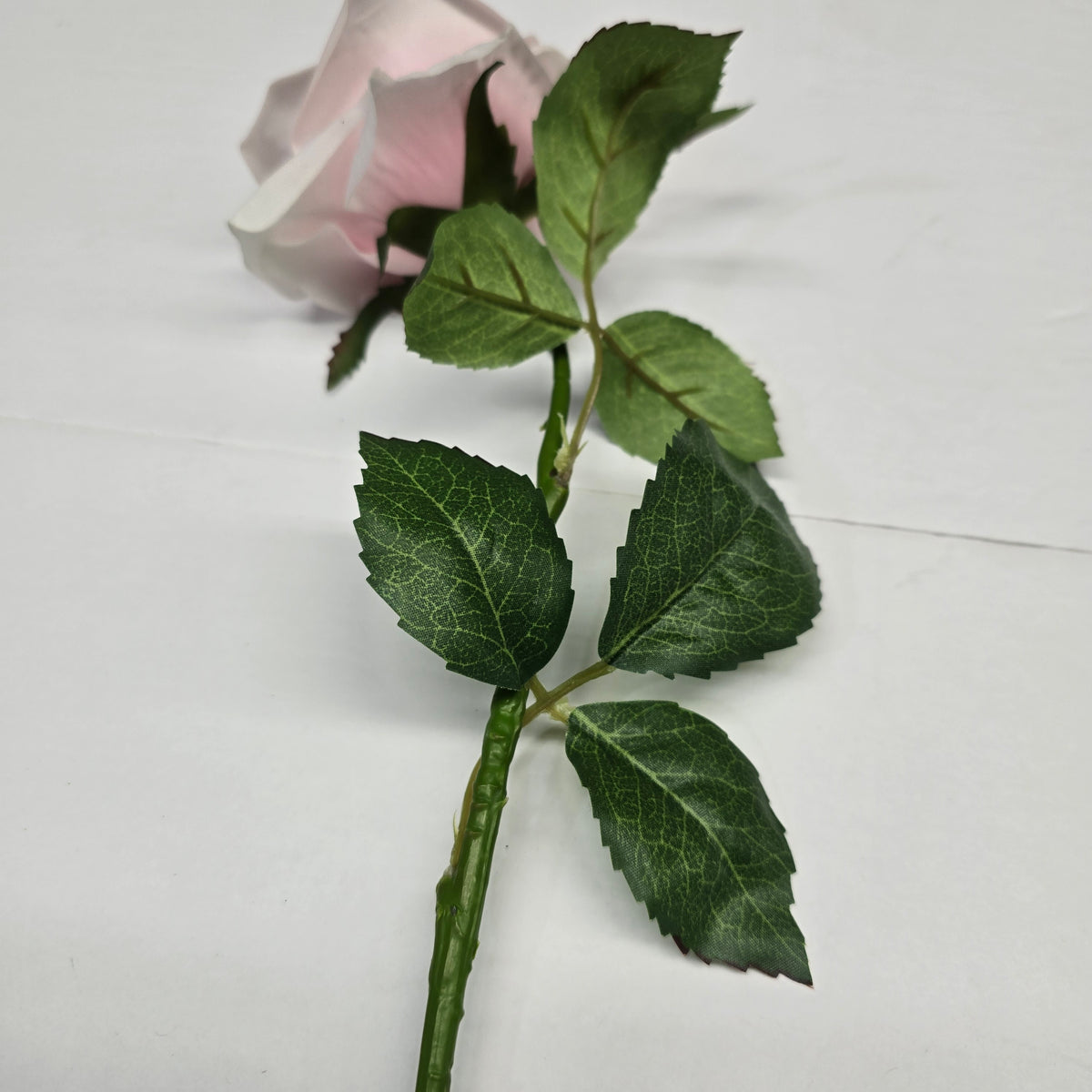 21.5" RT Rose--fsr151