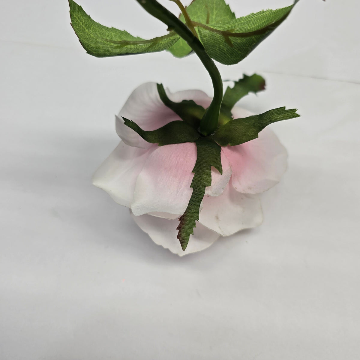 21.5" RT Rose--fsr151