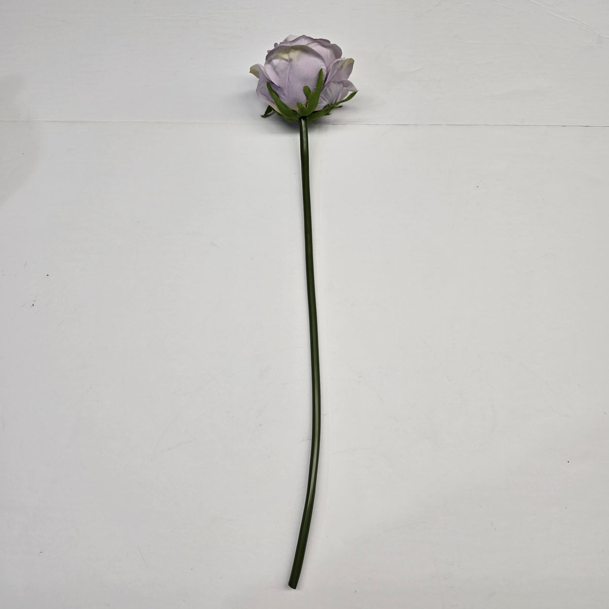 19"ROSE--fsr003