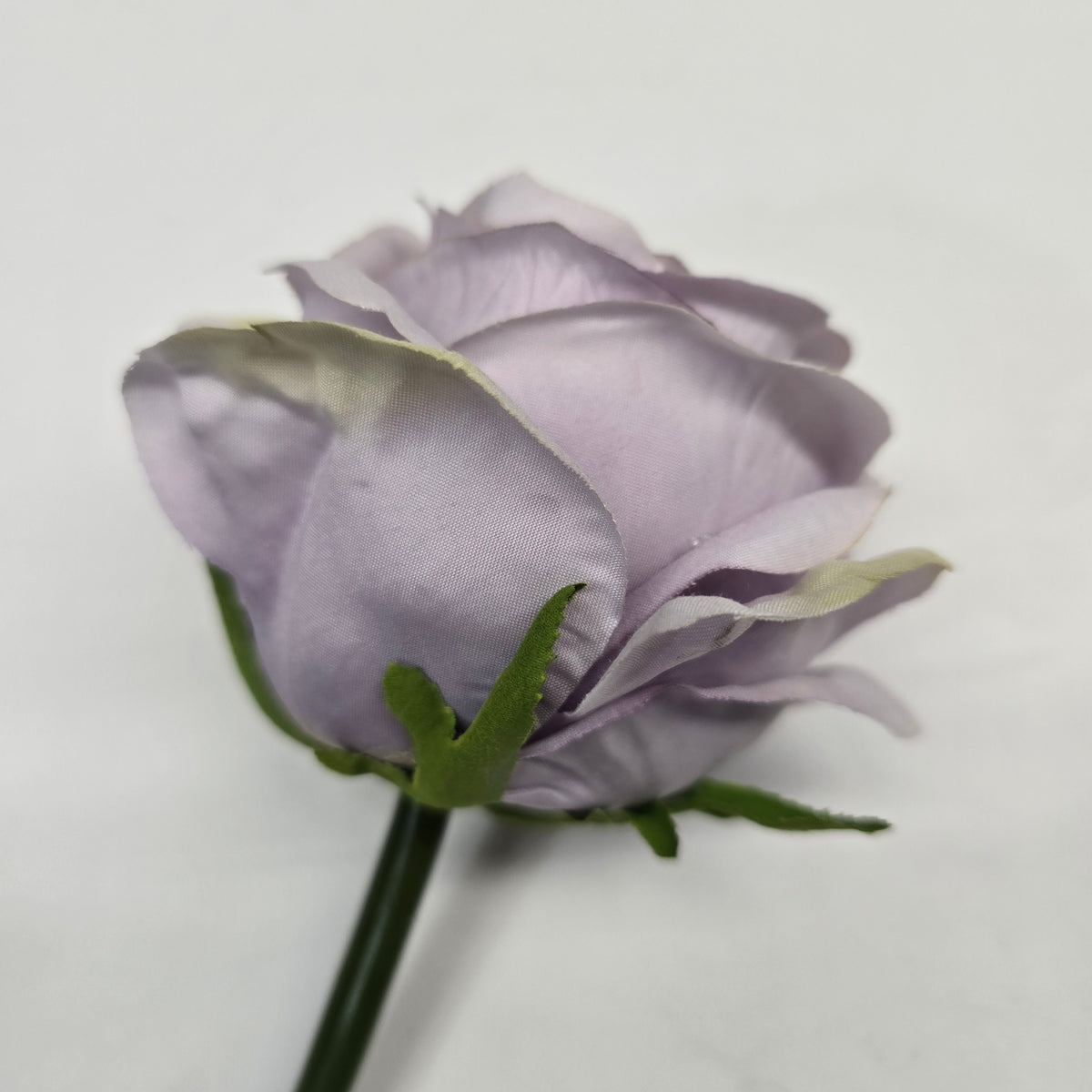 19"ROSE--fsr003