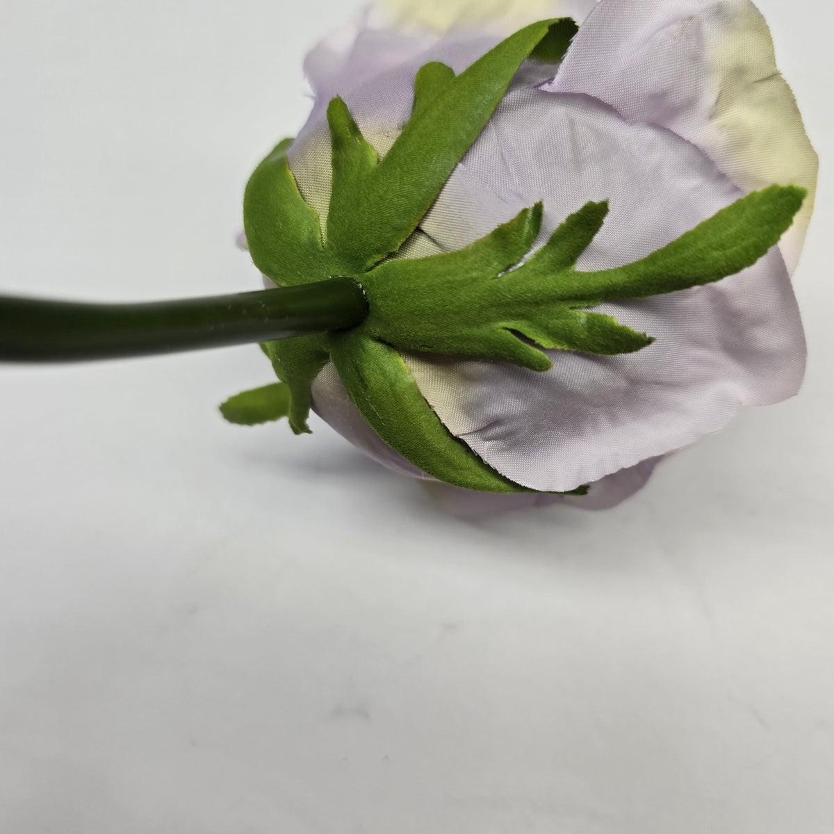 19"ROSE--fsr003