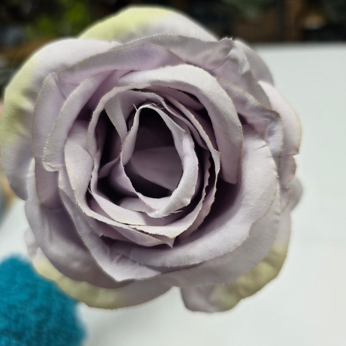 19"ROSE--fsr003