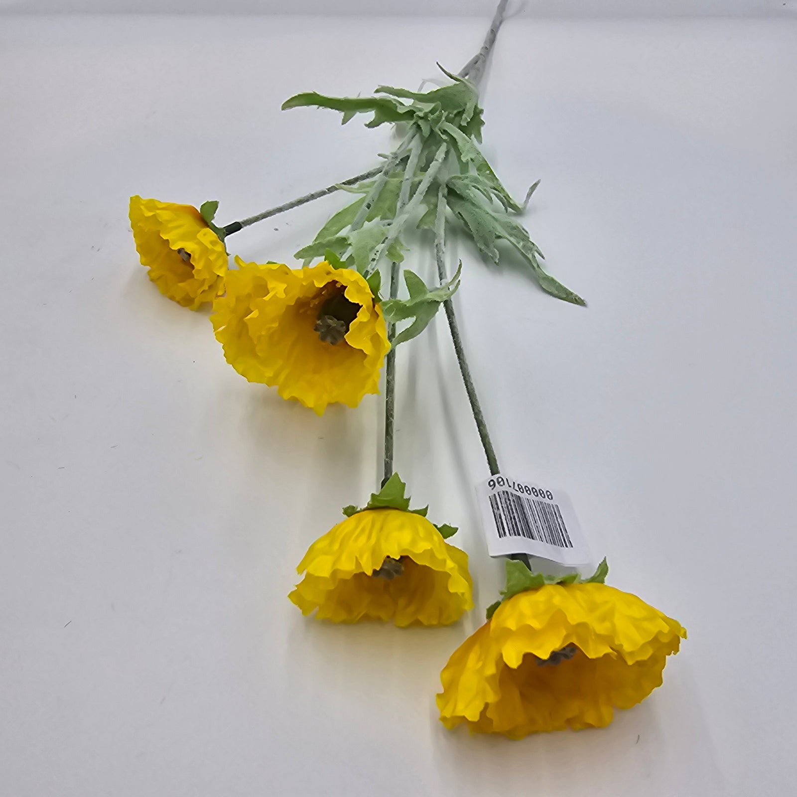 26"MEADOW POPPY--#fsp748-ye