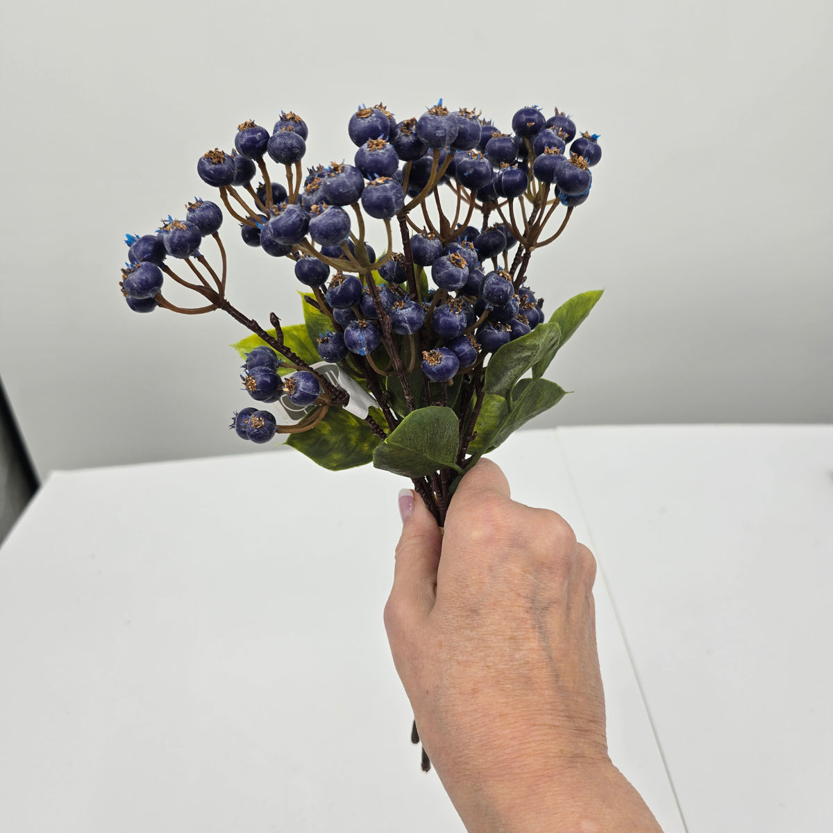 11.5&quot; Berry Bundle/3--#xbb116