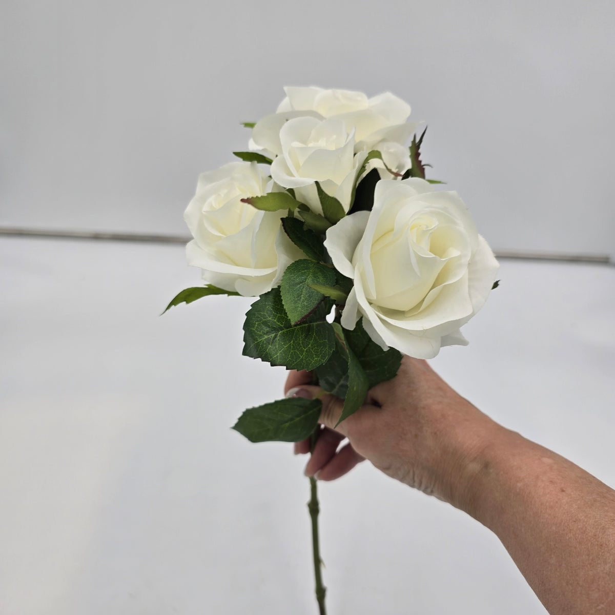 15.5&quot;ROSE--fsr205