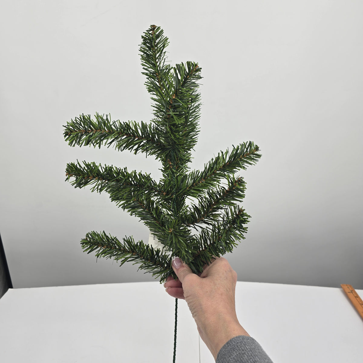 20&quot; Balsam Pine--#ysp112