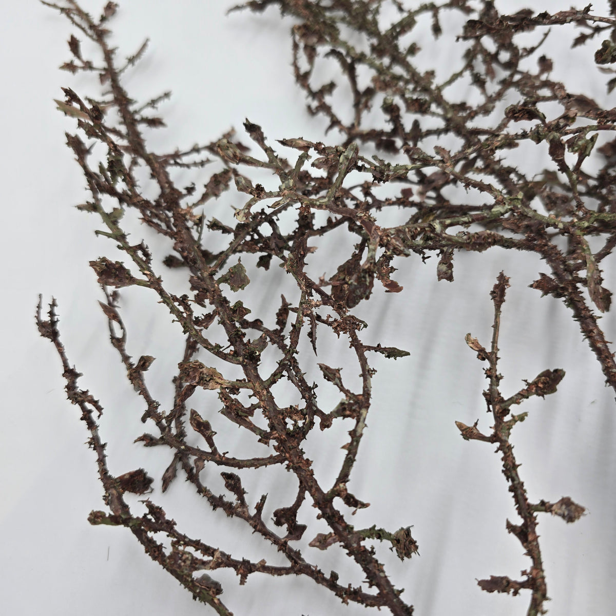 43&quot; Mini Fern/Twiggy Branch Spray--#psf646